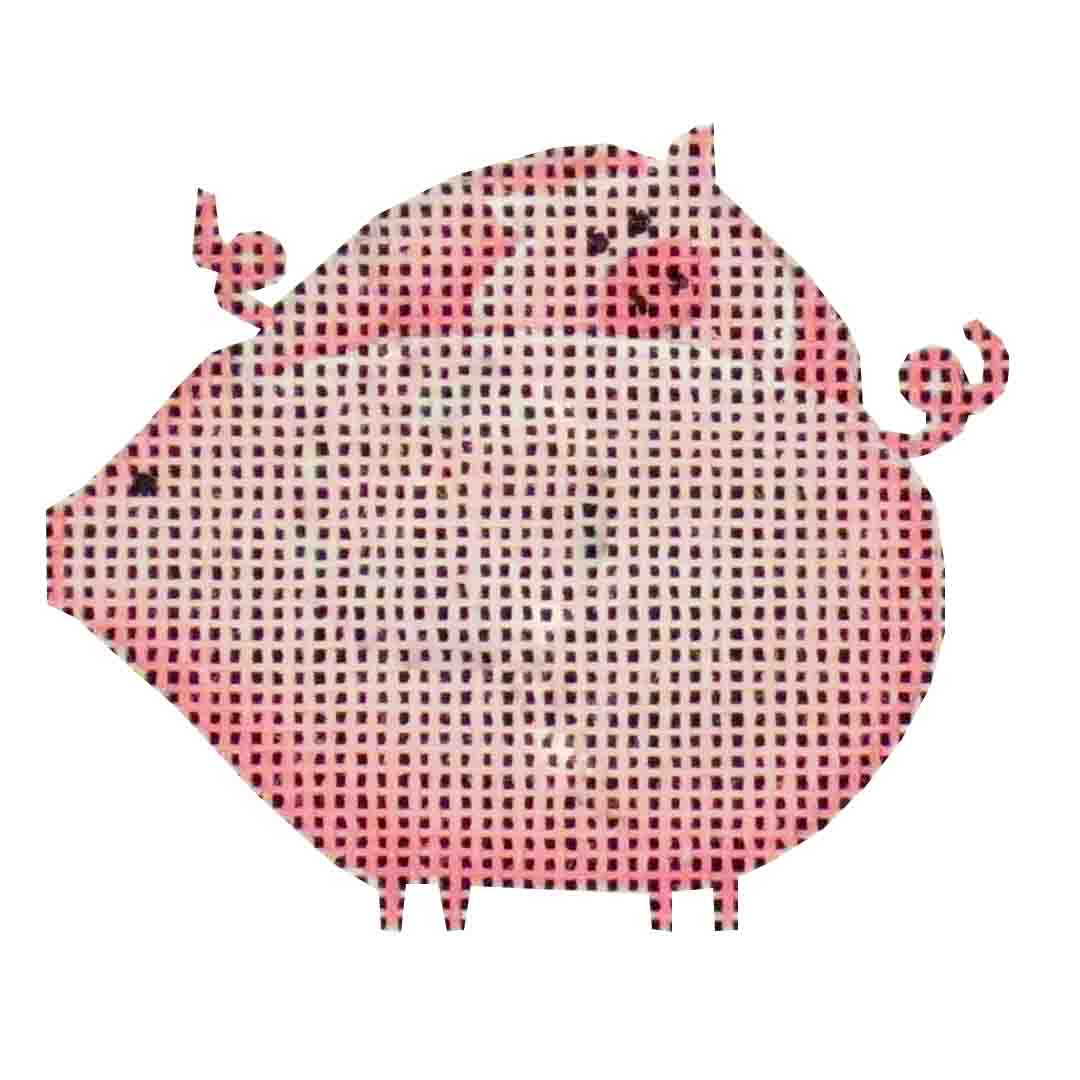 019G - Pig
