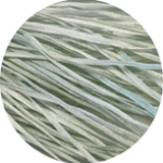 Silk Road Fibers Straw Silk (1000 and up)