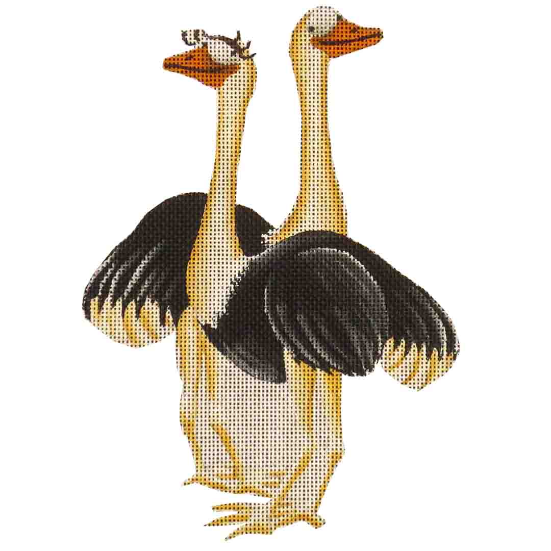115G - Ostrich