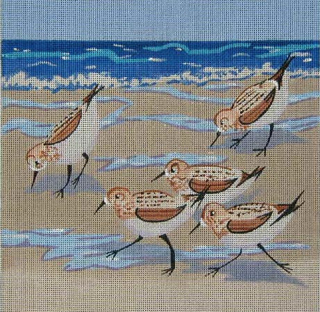 143 - Sandpipers