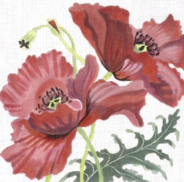 182550 - Corn Poppies