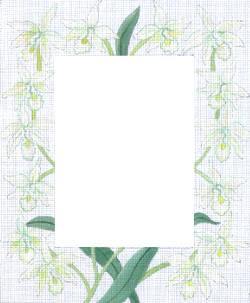 182595 - White Orchids