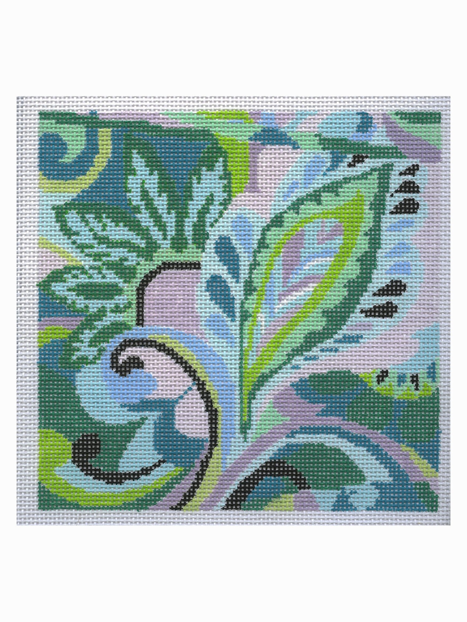 22-210 - Pucci Teal