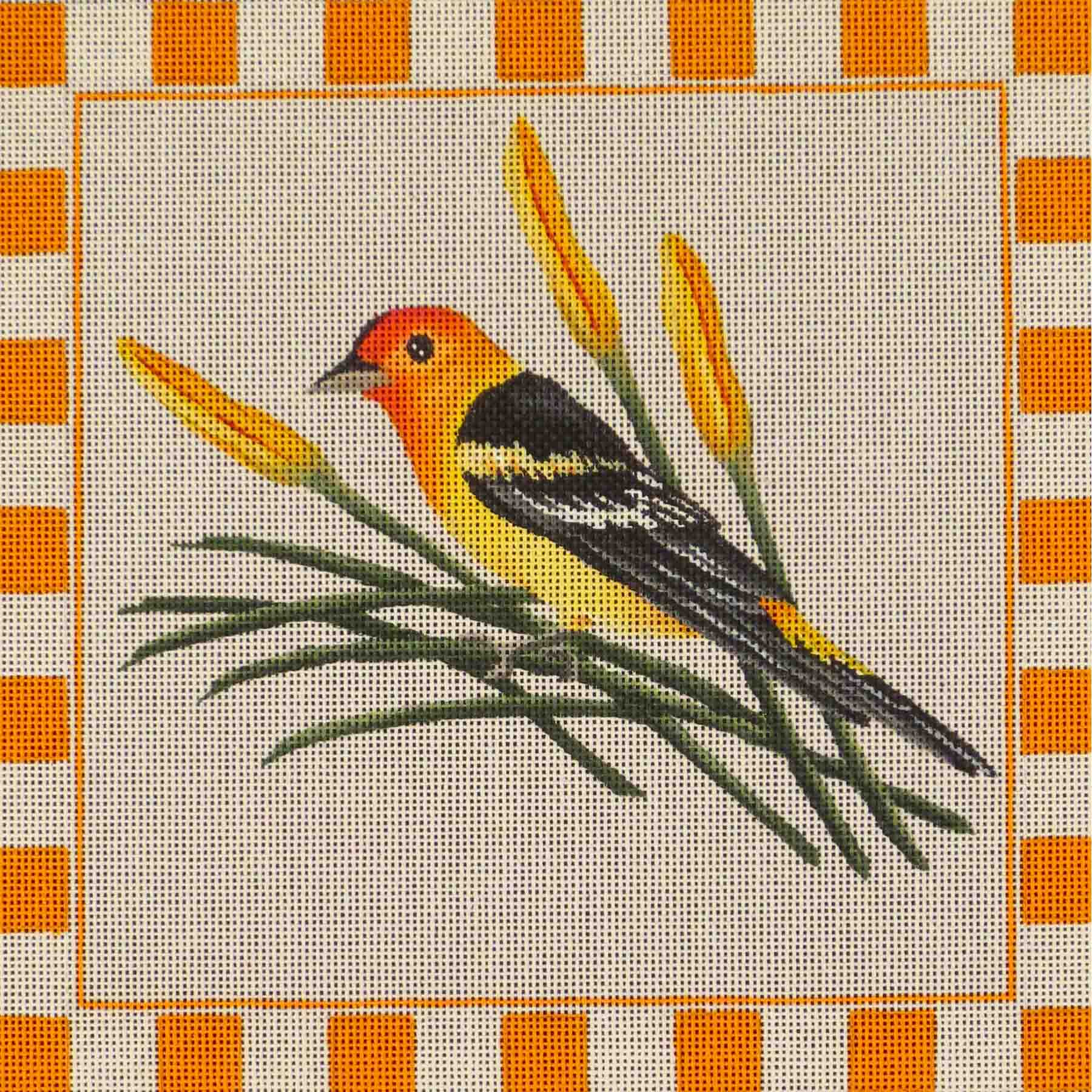261N - Western Tanager