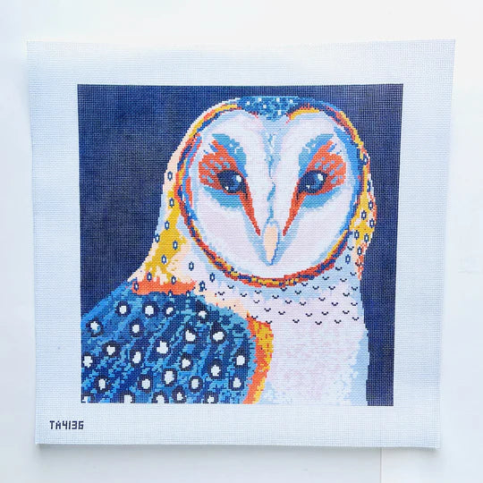 TA4136 - Barn Owl