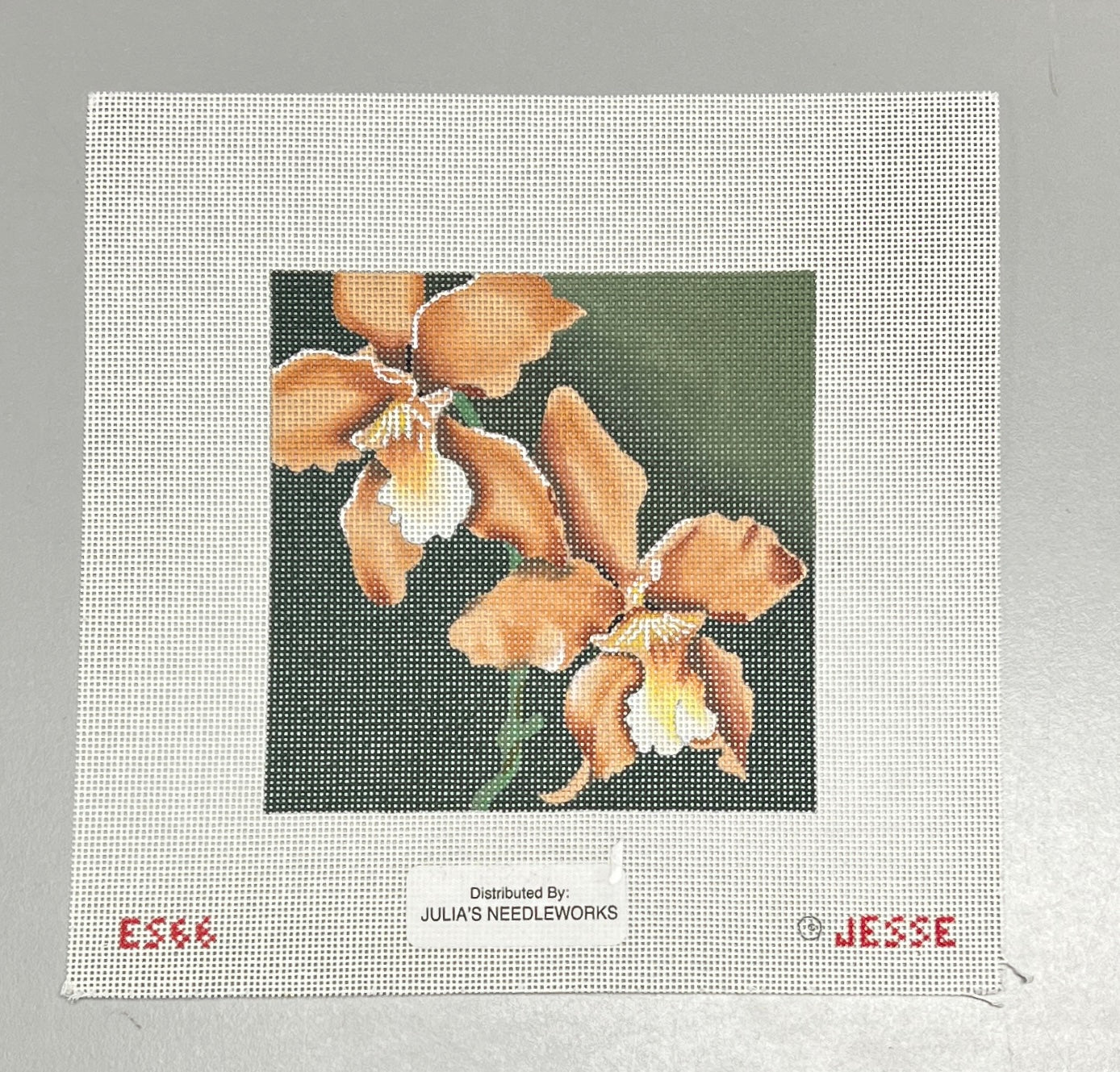 ES66 - Orchid Lyota