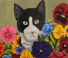 LH8014 - Newman "Piggy"