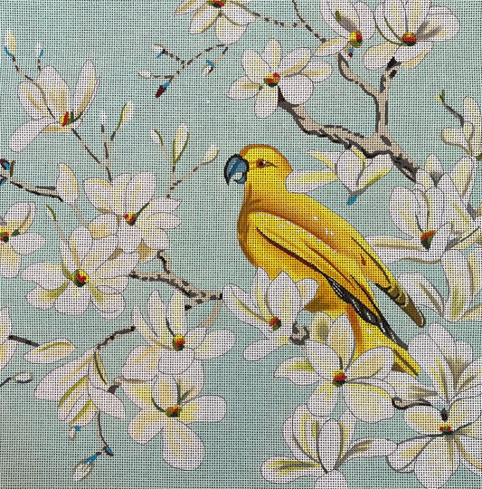 AN425 - Peace and a Parrot