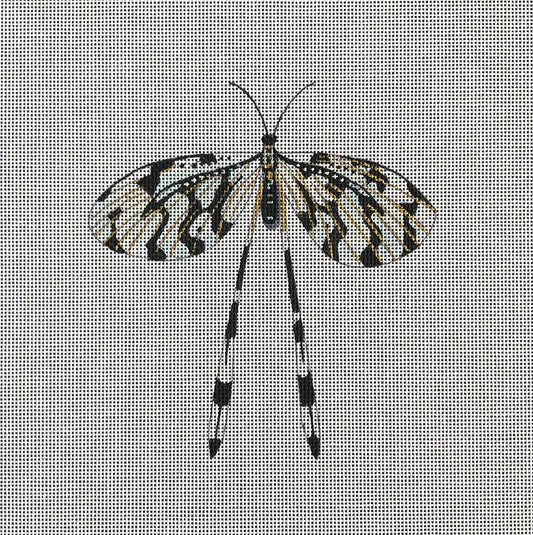 AN451 - Dragonfly