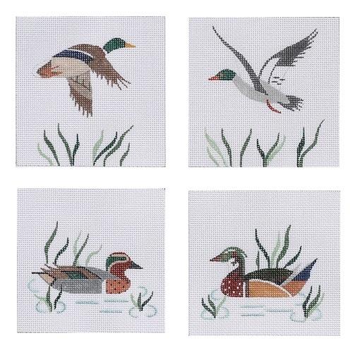 CO4-10 - Wild Ducks