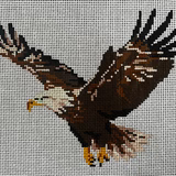KW157 - Bald Eagle