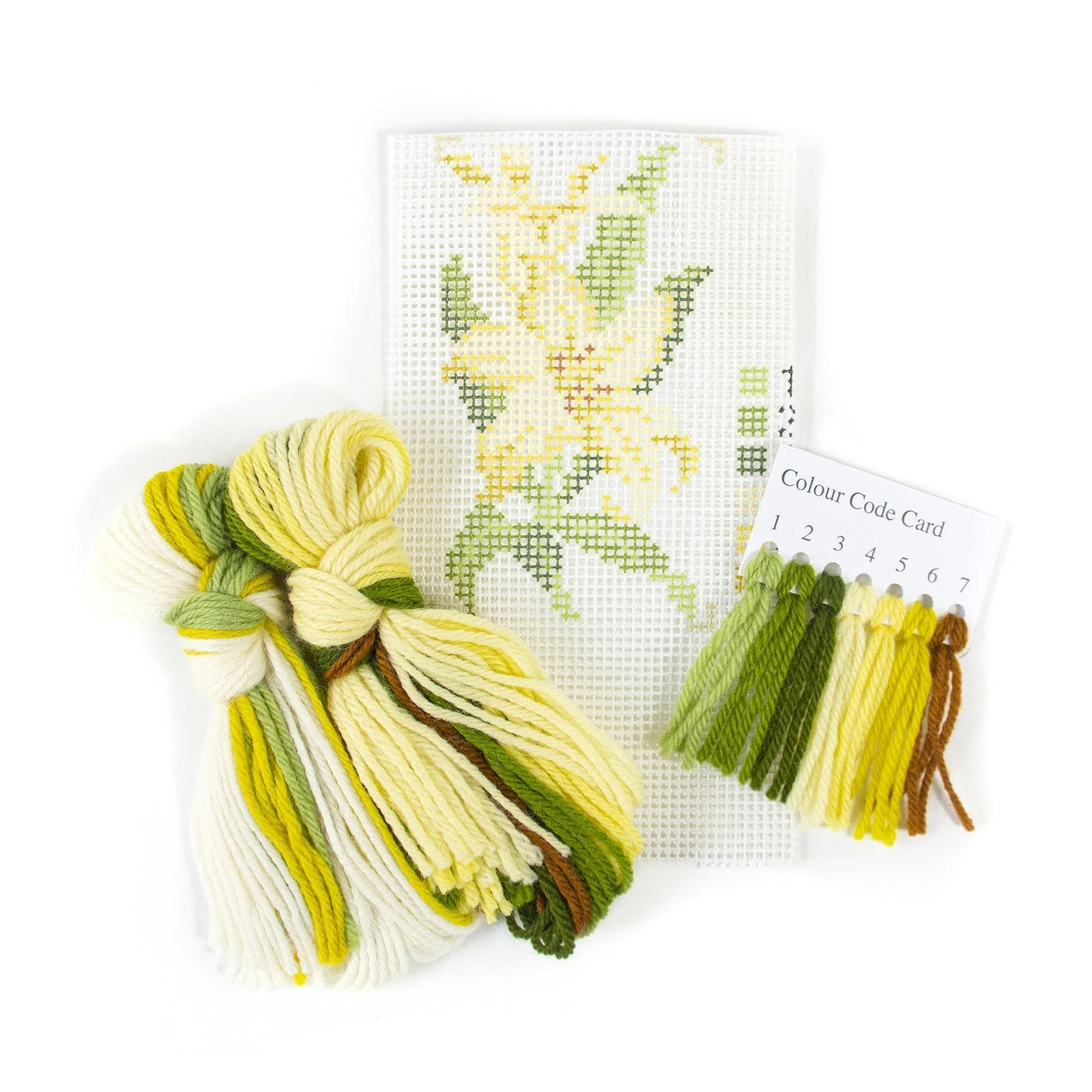 EBSTAR5 - Lily Starter Kit