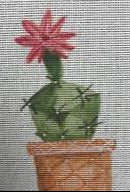 ECT479A - Cactus with Flower on Top