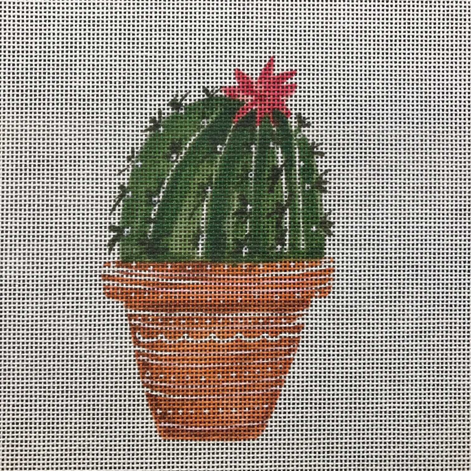 ECT479C - Cactus with Flower on Top Right
