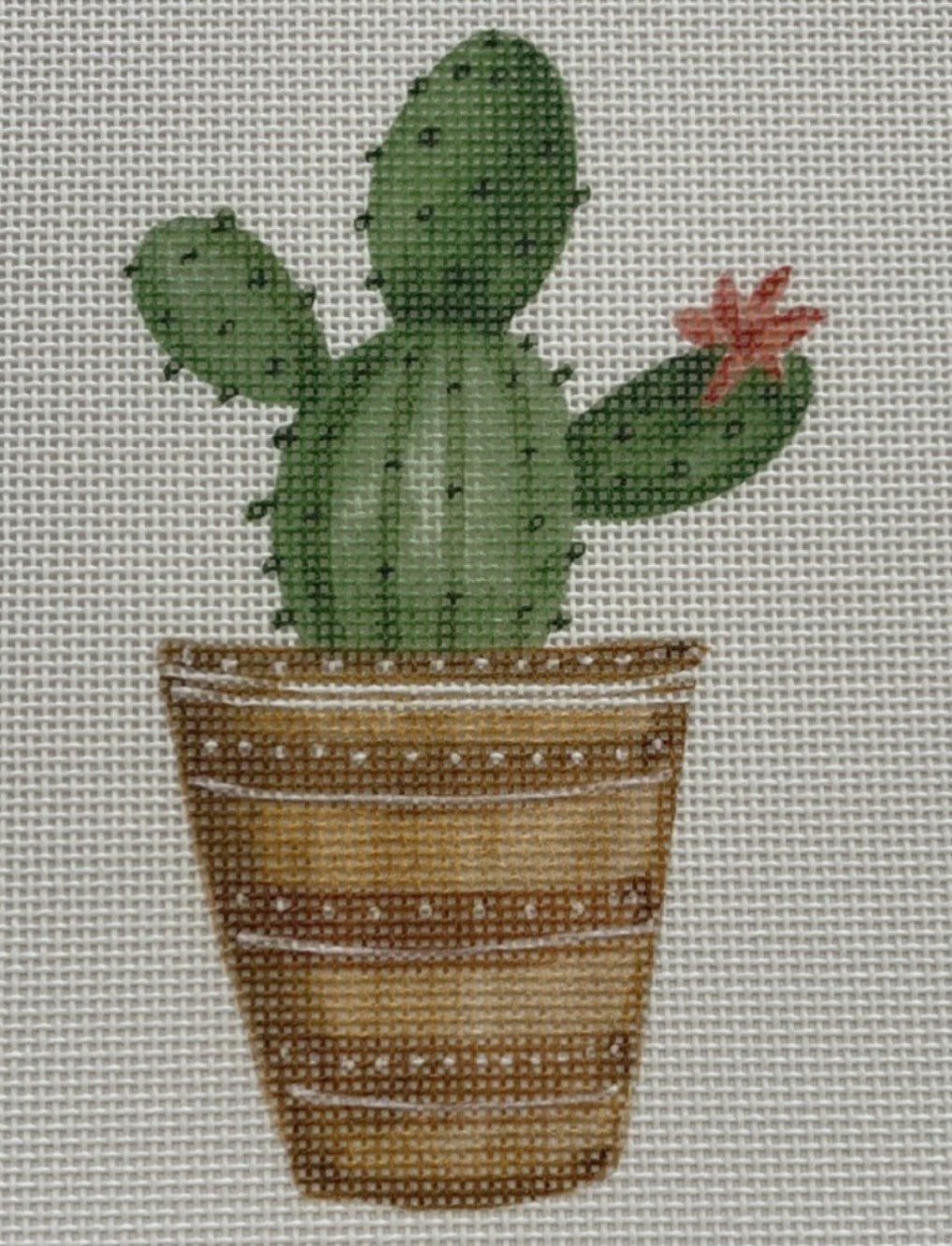 ECT479D - Cactus with Flower on Right