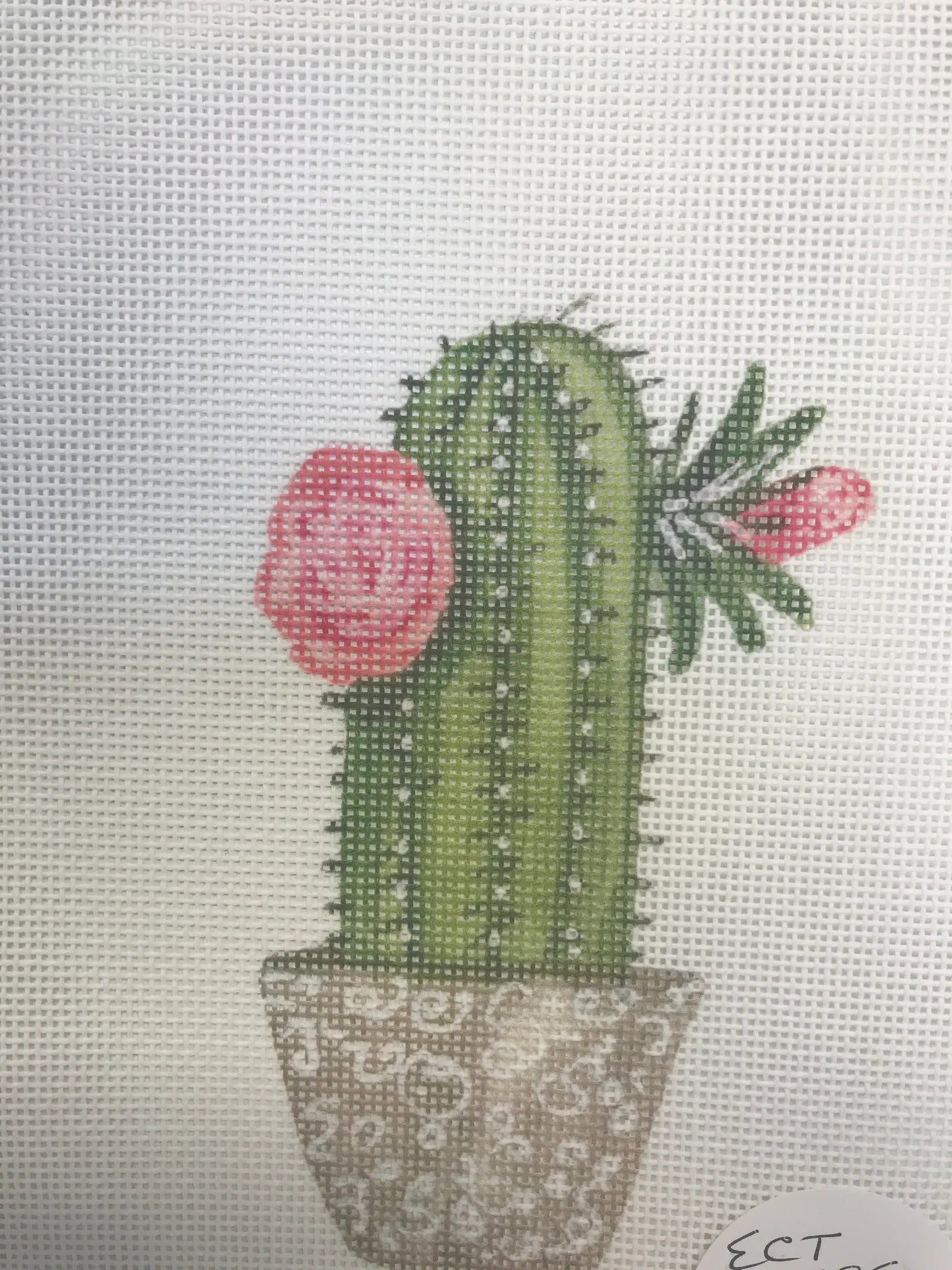 ECT479E - Cactus with Flowers