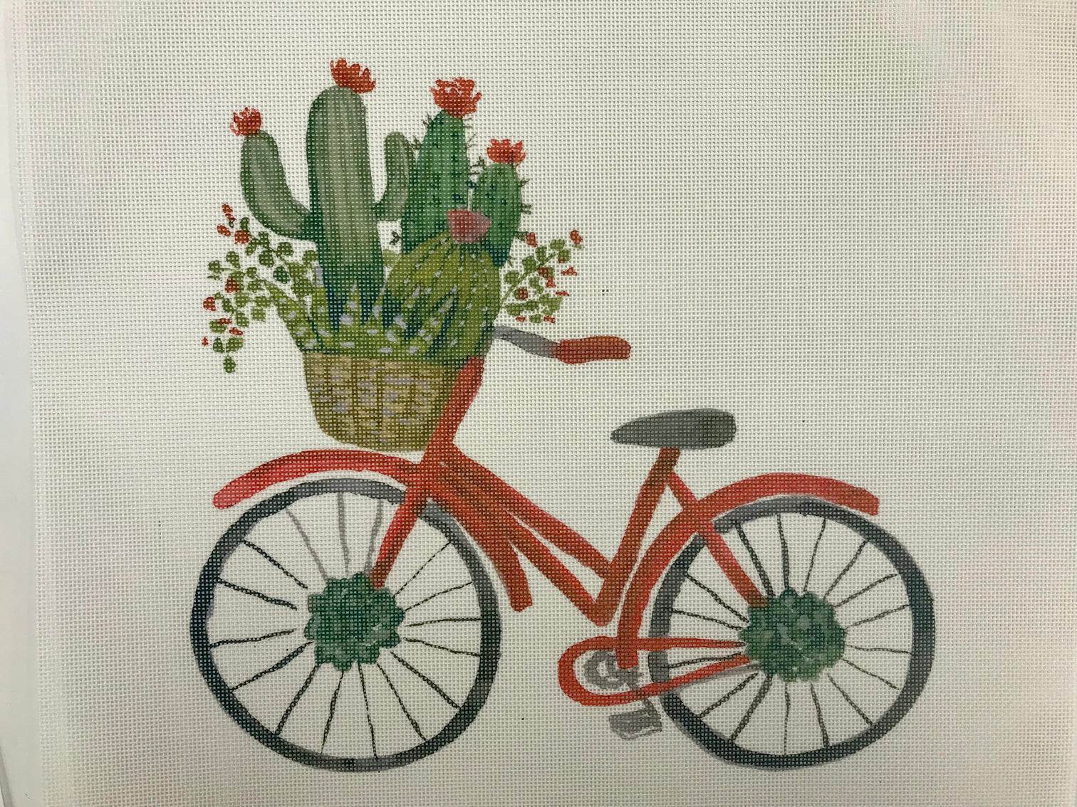 ECT829B - Bicycle with Basket of Cacti