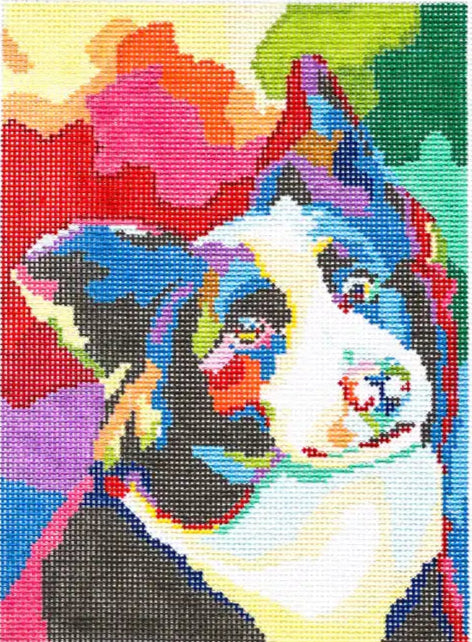 SBS165 - CL Border Collie