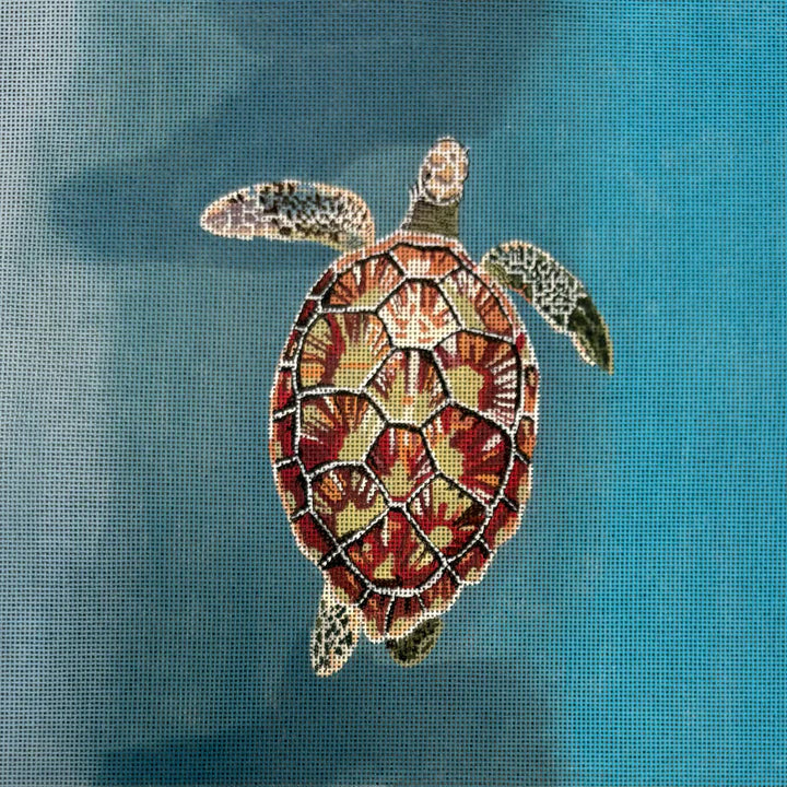 GIA03 - Sea Turtle