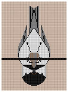 HC-C247 - Chickadee Calisthenisces