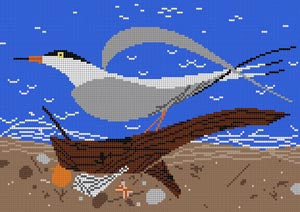 HC-T231 - Tern Scape
