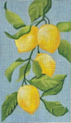 HO2156 - Lemon Sunglass Case