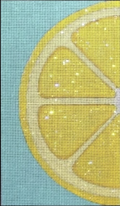 HO2296 - Lemon Eyeglass/Cell Phone Case