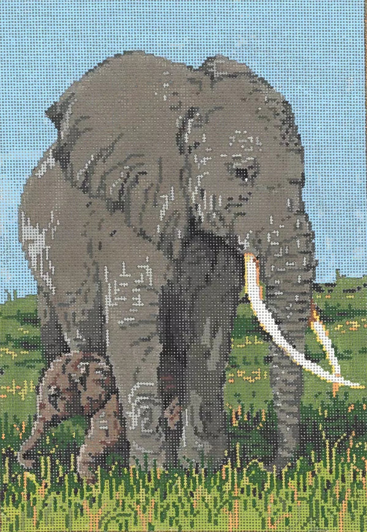 18630 - Closer Elephants