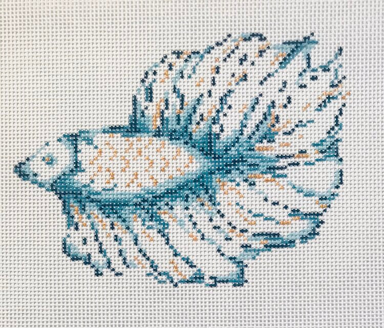 27E - Betta Fish