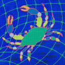 26036 - Blue Crab