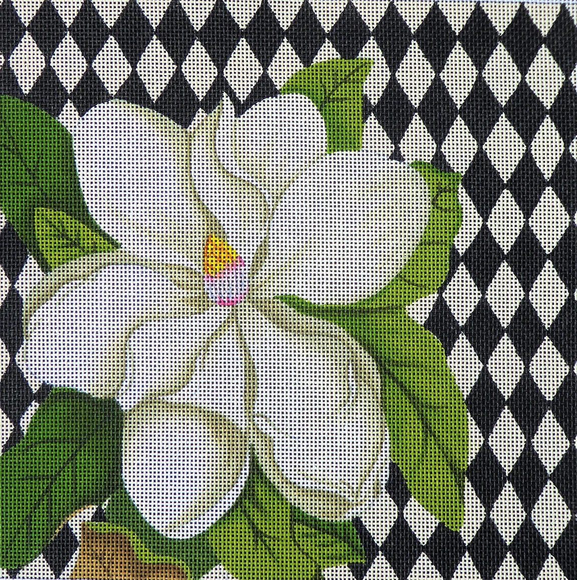 JM-02 - Harlequin Magnolia
