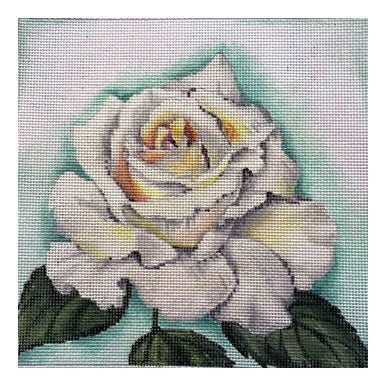 AT D1826 - White Rose