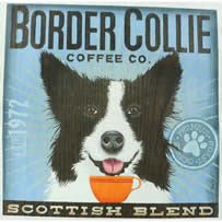 TC-SF122 - Border Collie Coffee Company