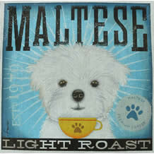 TC-SF125 - Maltese Coffee Company