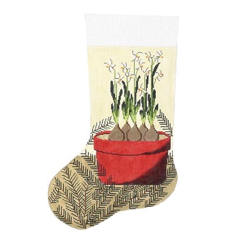 STK203 - Paper White in Terra Cotta Stocking