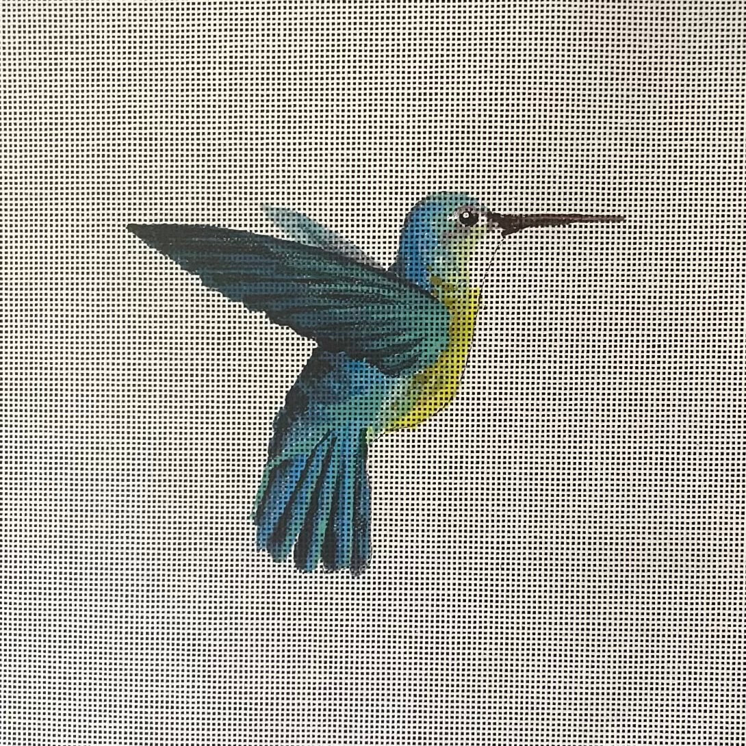 AN508 - Blue Hummingbird