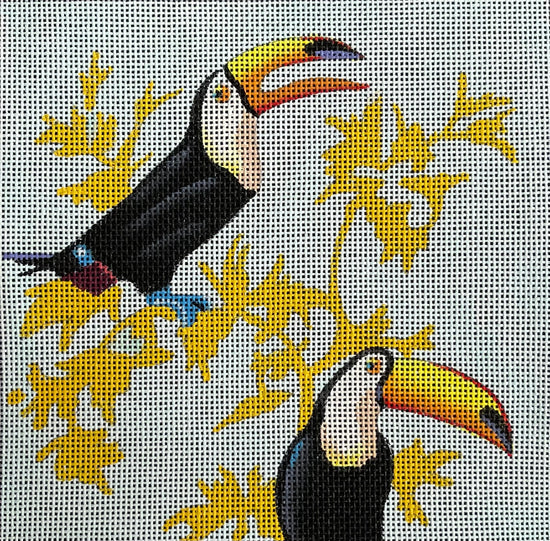 IN663 - Toucans on Blue