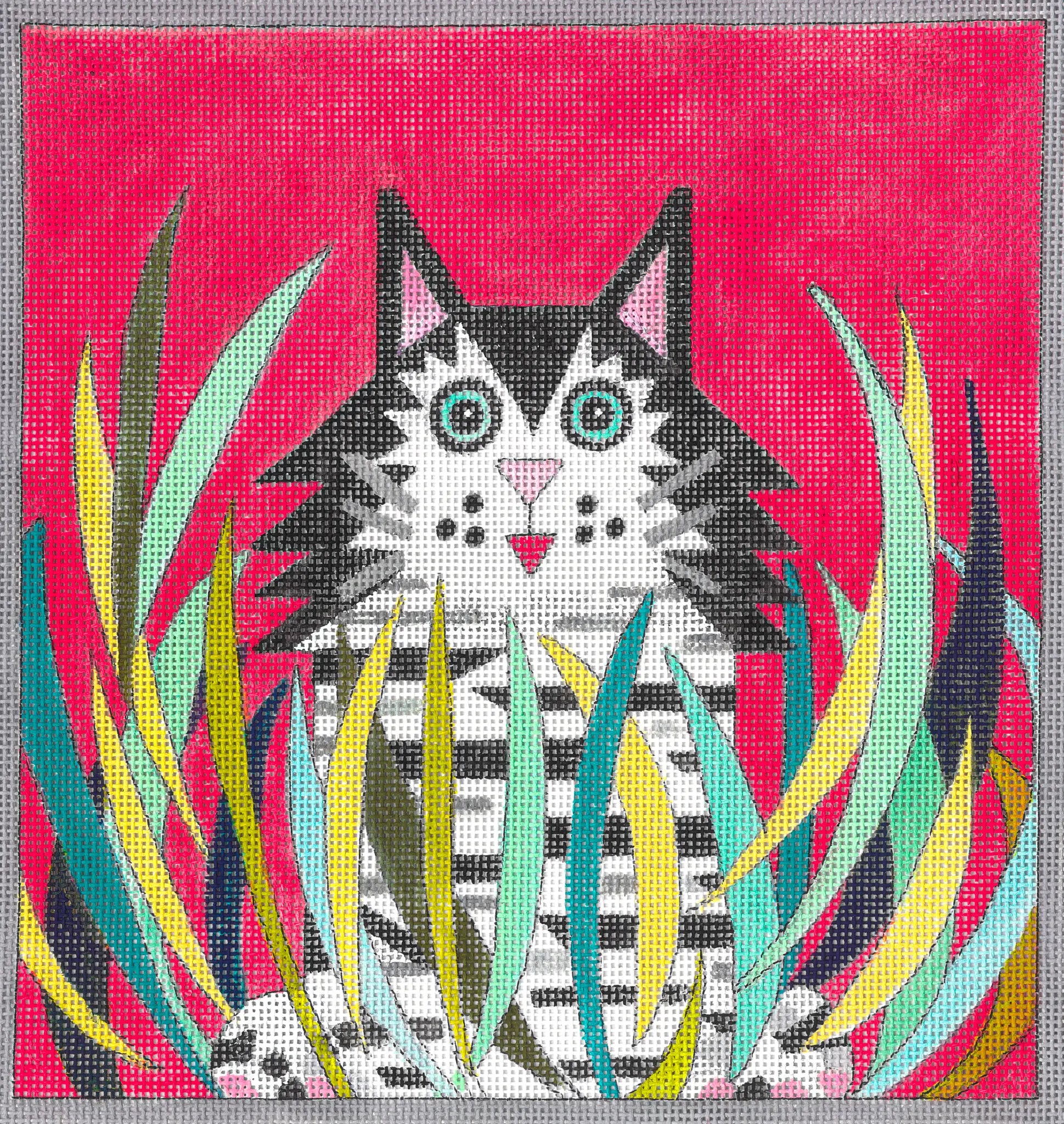 JG-179 - Kitty D