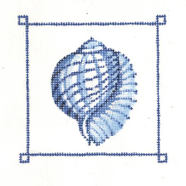 KCN953 - Tiger Chambered Nautilus