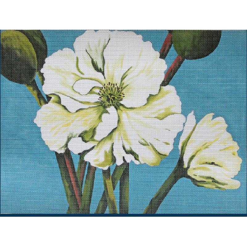 KDUKES608 - White Poppy Delight