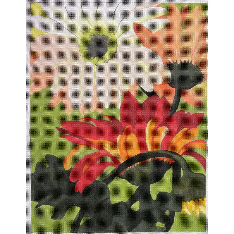 KDUKES622 - Peach Gerber Daisies