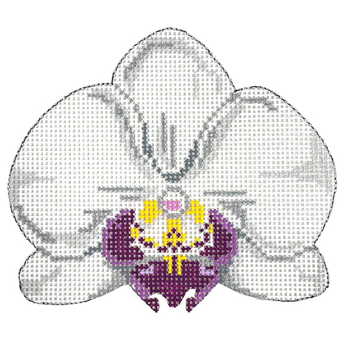 KW103 - Single White Orchid