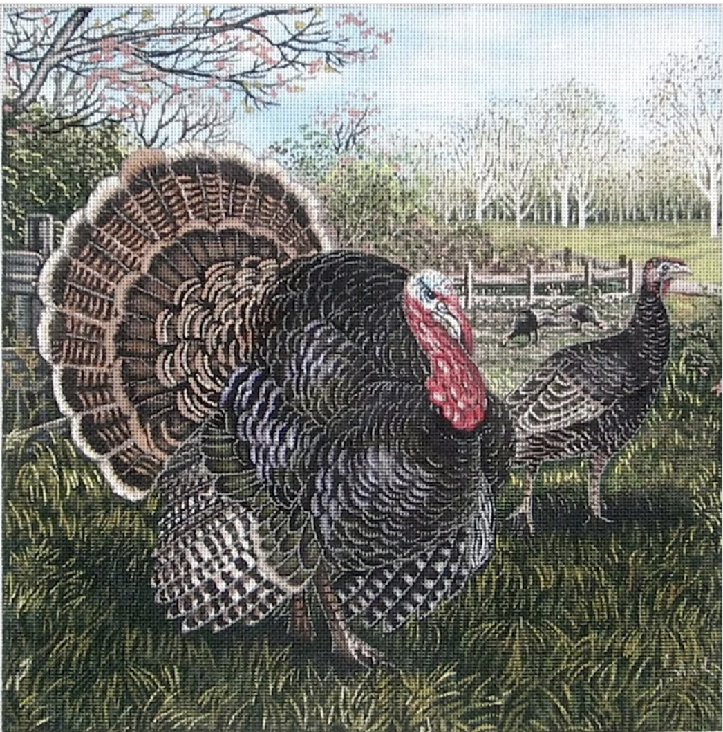 LGDP505 - Turkeys