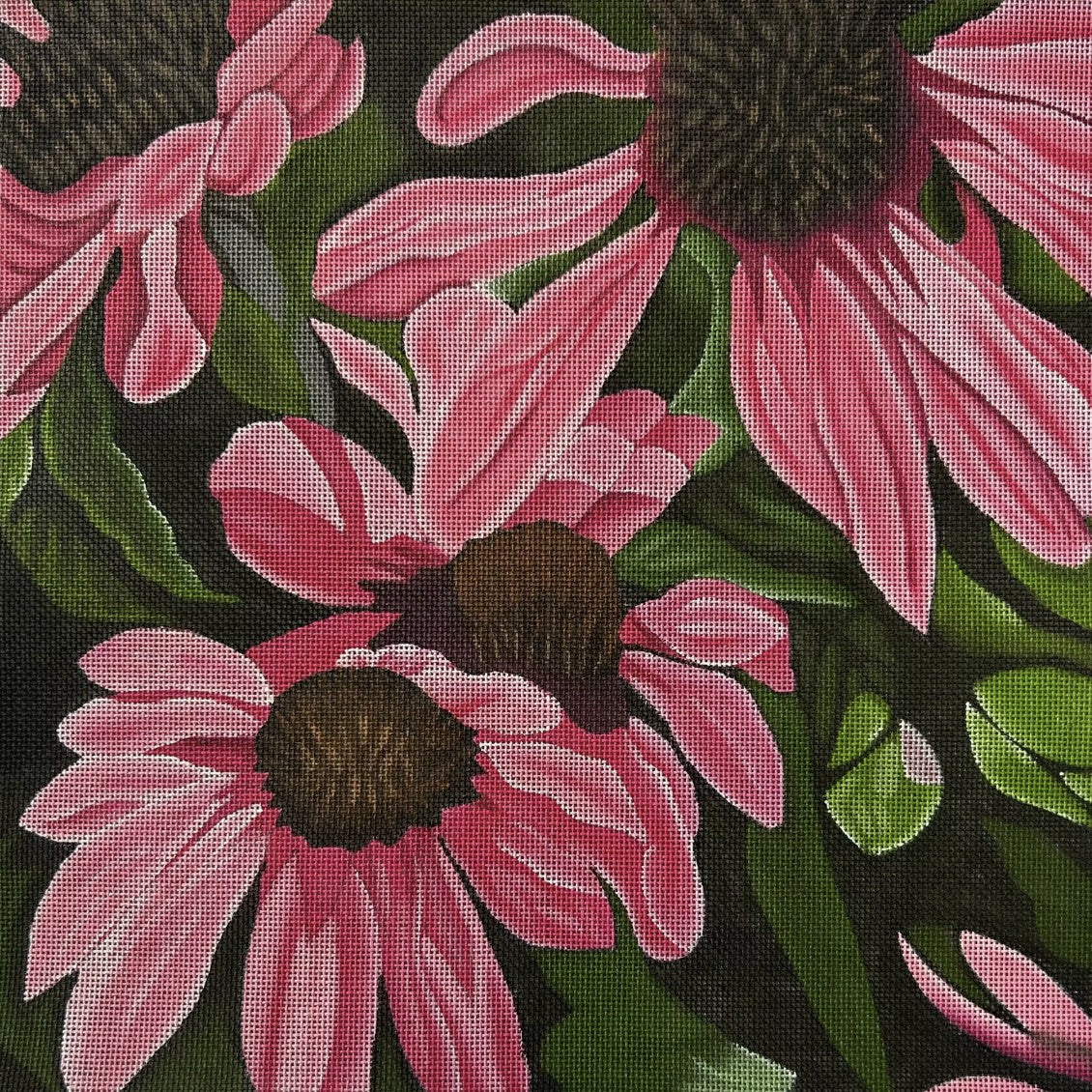 ME182 - Pink Coneflowers