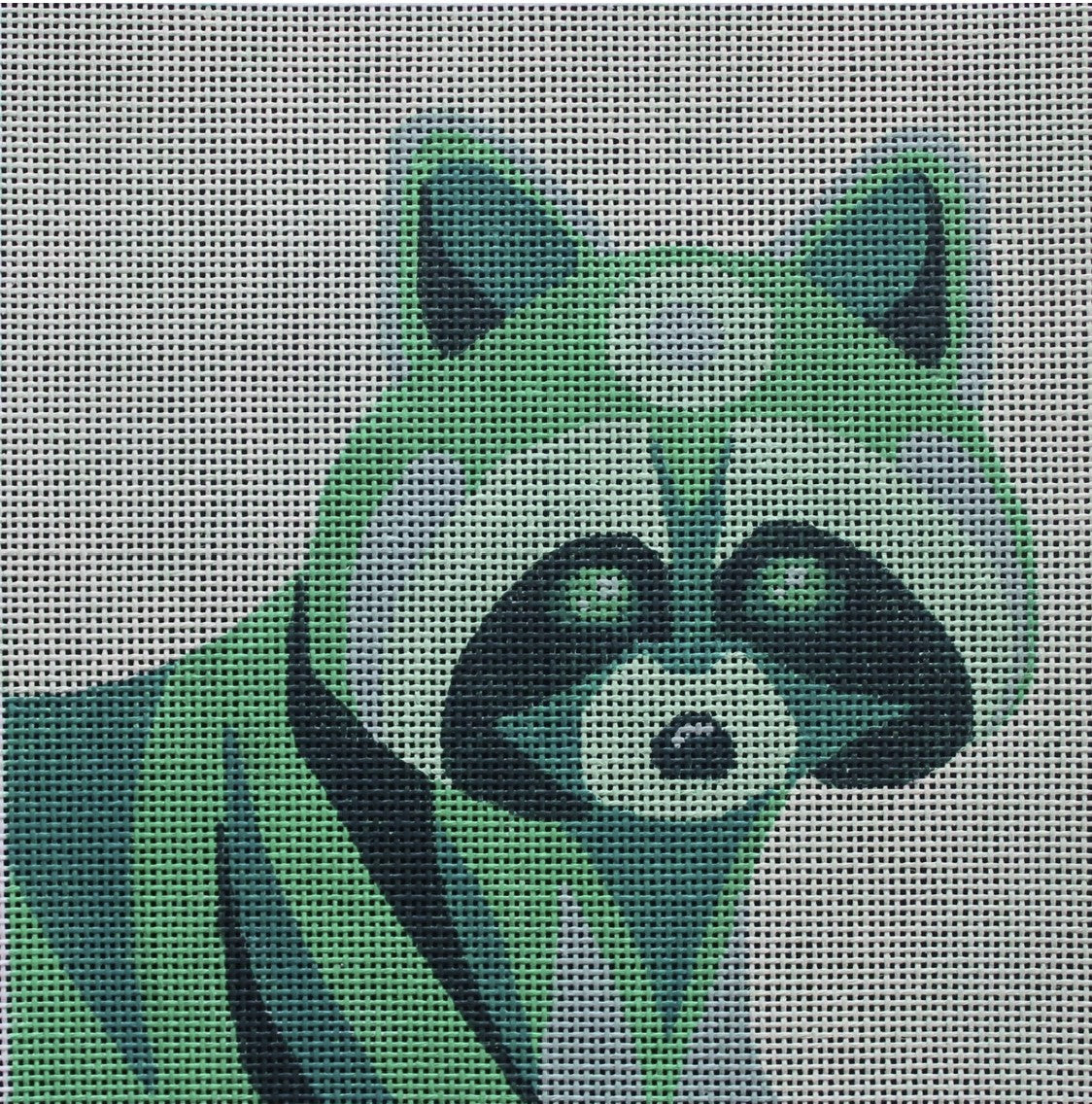ME88 - Color Block Raccoon