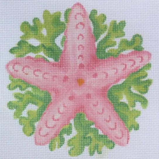 OM-91 - Starfish with Seaweed