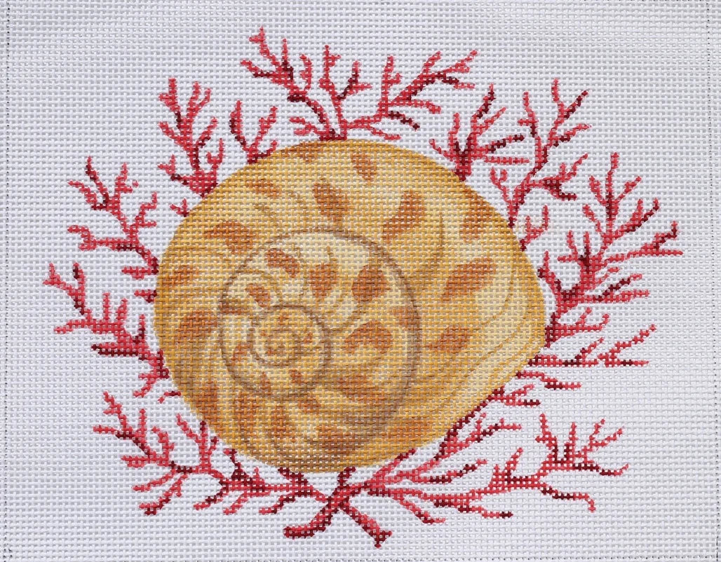 PL-280 - Moon Snail with Coral