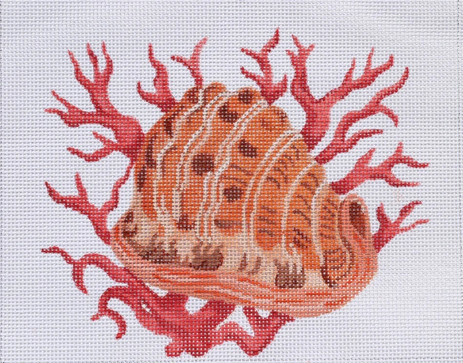 PL-281 - Helmet Shell with Coral