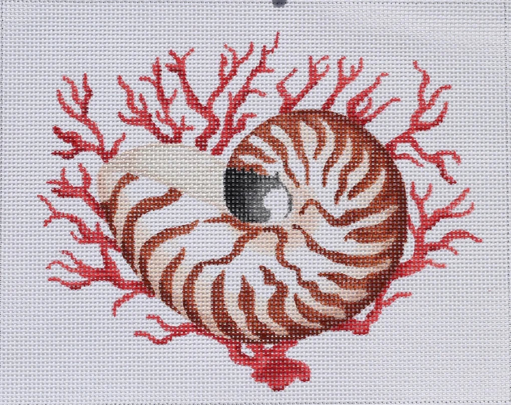 PL-282 - Nautilus Shell with Coral