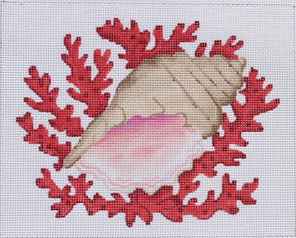 PL-283 - Conch Shell with Coral